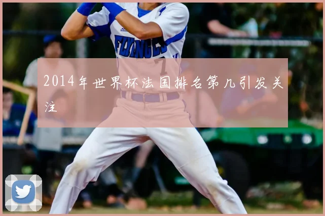 2014年世界杯法国排名第几引发关注