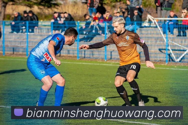 世界杯平台官网登录服务体系